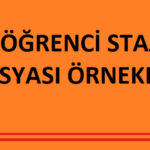 Staj Defteri Nasıl Doldurulur