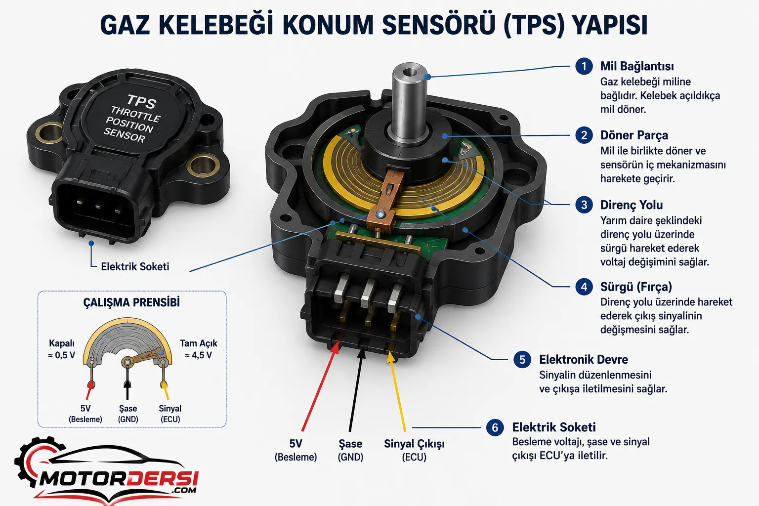 Gaz kelebeği konum sensörünün (TPS) iç yapısı, direnç yolu, sürgü, mil bağlantısı ve elektrik soketini gösteren teknik çizim.